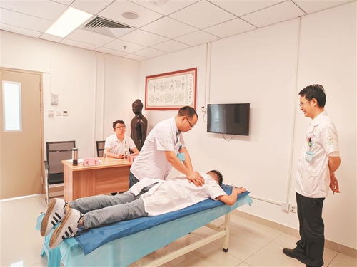 遵崇国医 义行仁术 诊疗服务